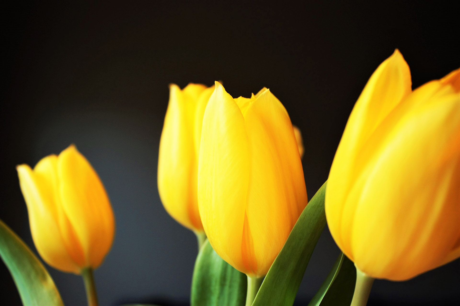 wedding-flower_1